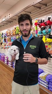 Sniffing out the best interview candidates! It's a ruff job but someone's got to do it! Check out Petland Novi's extensive health care coverage! Link in bio! 🔗 . . #PuppyInterviews #CutenessOverload #PawsitivelyAdorable #petlandnovi #petlovers #twelveoaksmall | Petland Novi