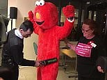 Peterborough by-election: Elmo frisked at the count