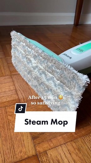 Steam Mop: Revealing Dirt Secrets on Hardwood Floors
