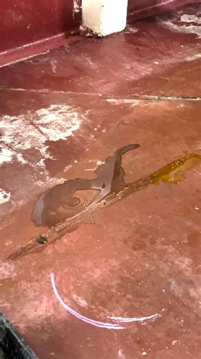 Can Simple Green get a gooey, sticky caramel mess of the floor of this food processing facility? Yes we can! Crystal Simple Green Industrial Cleaner & Degreaser, NSF certified for use in food processing. Click the link to learn more. https://bit.ly/3T9OQuc #simplegreen #industrialcleaning #beforeandafter | Simple Green