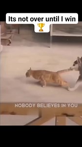 Its not over until I win   #advancingmindset #nevergiveup #itsnotoveruntiliwin #winners #winnerscircle #motivationalvideo | Joshua Jehudah | Facebook