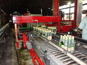 [Hot Item] Industry Leading Gantry Type Palletizer Applicable to Membrane-Packaged Products