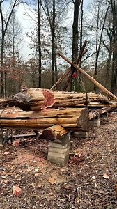 152K views · 1.3K reactions | Part1 Building a Massive Log Cabin by Hand 3 MONTHS IN. This is the progress we made, im a full time student in school so I made time when I could. Im now down for the summer so we should be | Happylife Bushcraft | Facebook