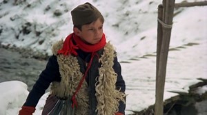 Vuk samotnjak - vrtisvoj.film