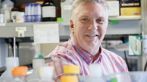 The Quest for a Hearing Loss Cure: A Progress Report on Drug and Gene Therapy Treatments