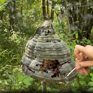 695K views · 3.2K reactions | Camping isn’t hard when you try these super simple tips | 5-Minute Crafts Family | Facebook