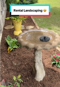 Rental Landscaping: How I Spent $230 on My Landlord’s Yard