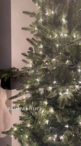 51K views · 271 reactions | SHOP  https://amzlink.to/az0IuHG72SPeV...