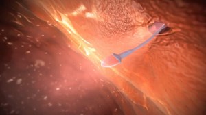 During your pregnancy your uterus grows and undergoes several changes. The size of your uterus is monitored during pregnancy. During labour, your uterus contracts regularly to open your cervix and help your baby move down into the birth canal. #Pregnancy #Baby #Birth #Mom #Childbirth | Pregnant Life