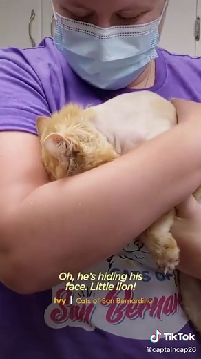 captaincap26 on TikTok