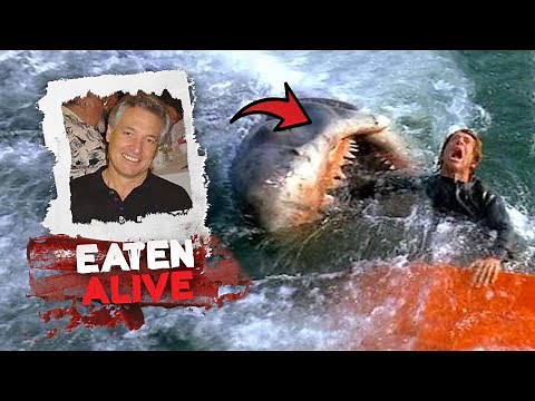 The Marathon Of Sharks Eating People Alive!