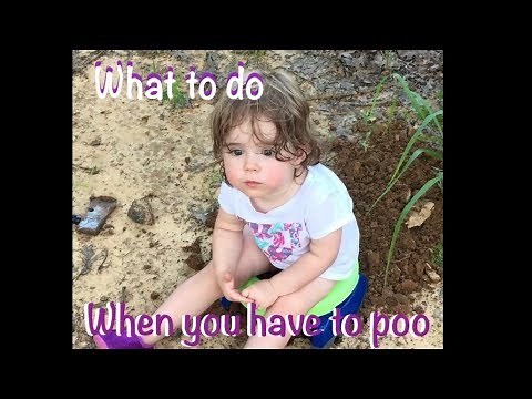 What to do when you have to poo - A hikers guide to pooping while hiking the Appalachian Trail