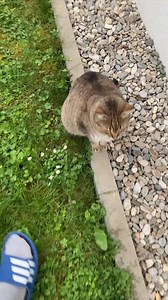 Is Mury scared to come back inside? 😔 | Samy & Mury