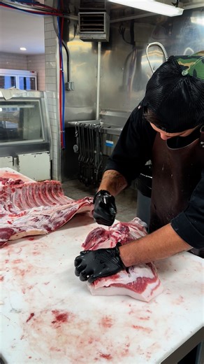 Deboning an Iberico front leg and shoulder for the Spanish Paleta. This will be cured and hung similar to prosciutto. #butchershop #iberico #pork #local #localmeat #butcher #bacon #paletas | Harv’s Butcher Shop