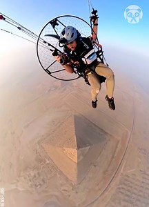 Paraglider spots dog on top of pyramid | Bored Panda Animals
