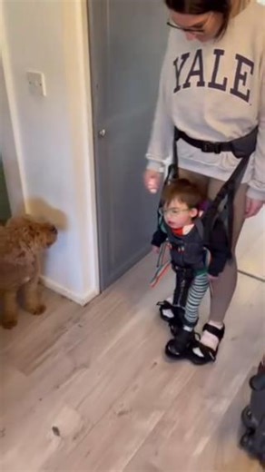 126K views · 10K reactions | Go Elliot!  "Elliot’s first steps in...