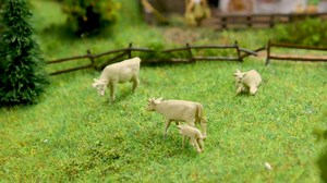 Klangerlebnis! 🙌🏼 Thematischer Figurensatz mit passender Klangkulisse. Bei Bestromung ertönt das Geräusch einmalig für die Dauer von 5 – 25 Sekunden (variiert nach Produkt). N: Art. 272800 Schaltbar mit dem »Relaismodul«, Art. 161659 oder jedem handelsüblichen Schalter. Der Anschluss erfolgt an 12 V DC oder 16 V AC. -- 🙌🏼 Audio experience! Thematic set of figures with a corresponding soundscape. When supplied with power, the noise sounds once for a duration of 5 – 25 seconds (varies dependin