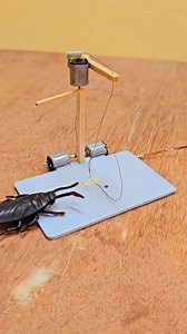 Amazing cockroach trap with stick dc motor #cockroach #funny #reelsviralシ #trap #experiment #electronics | Science & Engineering