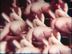 Billy Boy 1970 AMG - xHamster