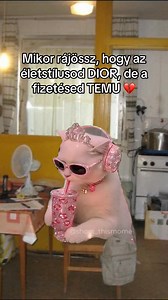 283K views · 5K reactions | Shit happens  #foryou #vicc | Viktoria Stijacic | Facebook