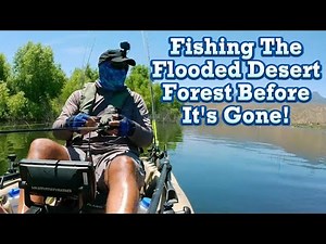 Roosevelt Lake, AZ - Fishing The Flooded Desert Forest Before It's Gone!