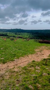 📍 East London, Eastern Cape #weather #weatherforecast #WeatherUpdate #easterncape #southafrica | Meteorologist Kumsa Masizana