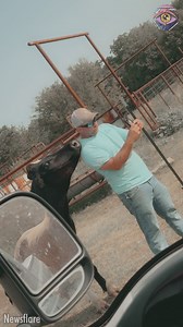 This cow knows how to hype 🤌 | SLICK SLIME SAM