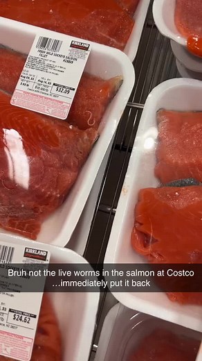 Live parasites in the salmon today at #costco yummmm 🤨😩 | Salmon Parasites