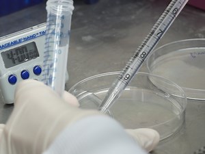 Identifying Transcription Factor Olig2 Genomic Binding Sites in Acutely Purified PDGFRα  Cells by Low-cell Chromatin Immunoprecipitation Sequencing Analysis