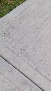 Ay caramba. 🤤🔥 | VW Mk3 NR