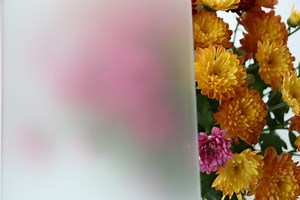 [Hot Item] Float Temperable Acid Etched Sandblasted Misty Frosted Glass for Bathroom Doors Partitions with Design