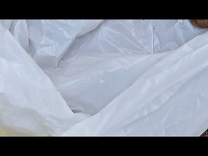 The LONG awaited: girl pooping in a bag outside
