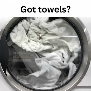 Have your towels seen better days? Put them to good use at Second Chance! The Adoption Center is almost OUT OF TOWELS. Give your towels a 'second chance' by donating them today. DROP OFF ANYTIME: 111 Young Road, East Brookfield. Thank you!!! | Second Chance Animal Services