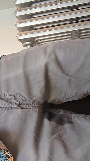 Pissing My Pants Challenge for $100,000! Day 39 Update