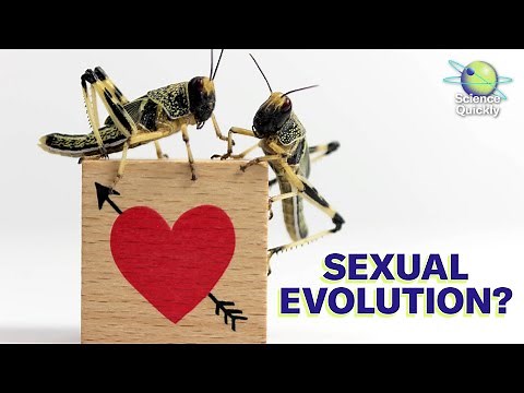 What can nature teach us about sex and gender? | Science Quickly Podcast