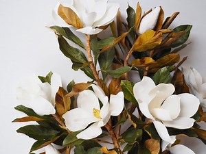Magnolia Grandiflora - Paper Flower Video Course - Etsy UK