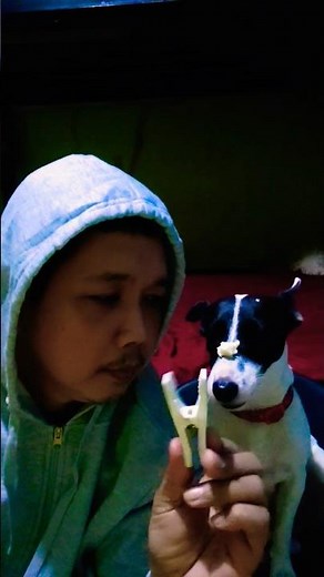 ang epet ng damit😱 #cutedog #shorts #viral