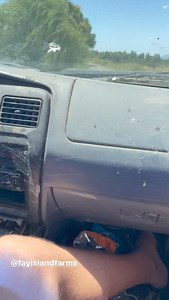 Informative Fisherman on Reels