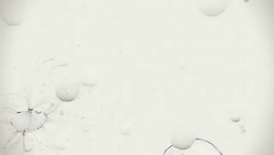 Stive Morgan My Angel