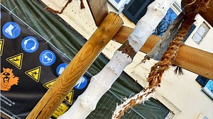 Vandalismus in Herrenberg: Unbekannte vergreifen sich an Stadtbäumen