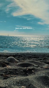 Imagine you are lying on a sandy beach in Santorini, under the Aegean sun, listening to the sound of the sea… 💭🔉☀🌊 #KamariBeachHotel #santorini #kordhotels #santorinihotels http://bit.ly/KamariBeachHotel | Kamari Beach Hotel Santorini