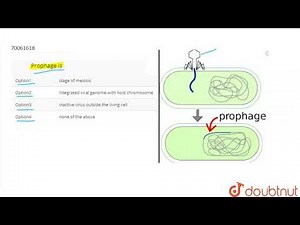 Prophage is