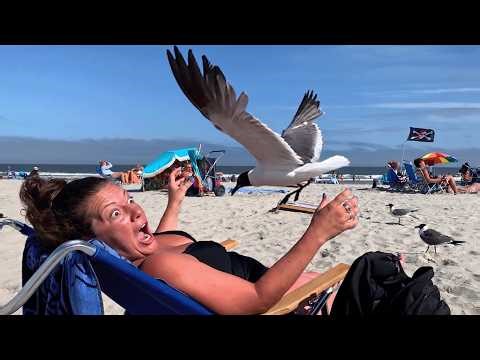 Instant Regret Came For Them | Funniest Fails Compilation