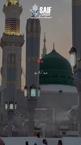 Saif Group the name of dignity. | Saif Group