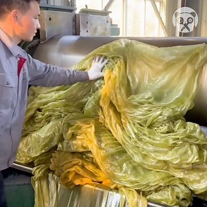 This is how yoga mats are made Partner: process of everything | Bored Panda Art