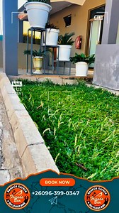 2.1K views · 13 shares | Bakwetu, prioritizing comfort, cleanliness & space Banksia Gardens Executive Rooms has you covered from as low as K600 you get to enjoy the comfort ! aircon, hot & cold shower, basic toiletries, bottled water, Smart TV, mini fridge, all in a very clean, spacious setting. Just 1–2 mins from Central Police in town, with a smooth road network. Contact : 0963990347 for more information | Solwezi Online Updates | Facebook