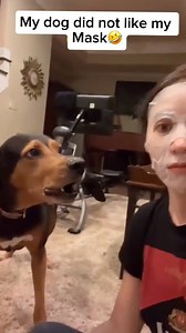 entertainment video | BRAIN RAP