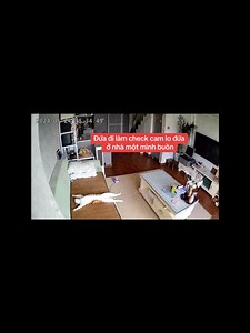 27K views · 1K reactions | Đứa đi làm bị dí deadline sấp mặt,. sợ đứa ở nhà trầm cảm, mở cam lên soi kiểu =))) | Review Chất | Facebook