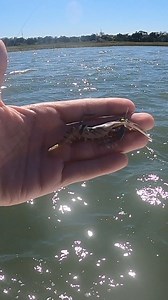 Catch my biggest Flounder off the coast of Savannah Georgia | ABitFishy