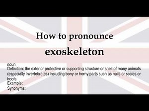 How to pronounce 'exoskeleton' + meaning